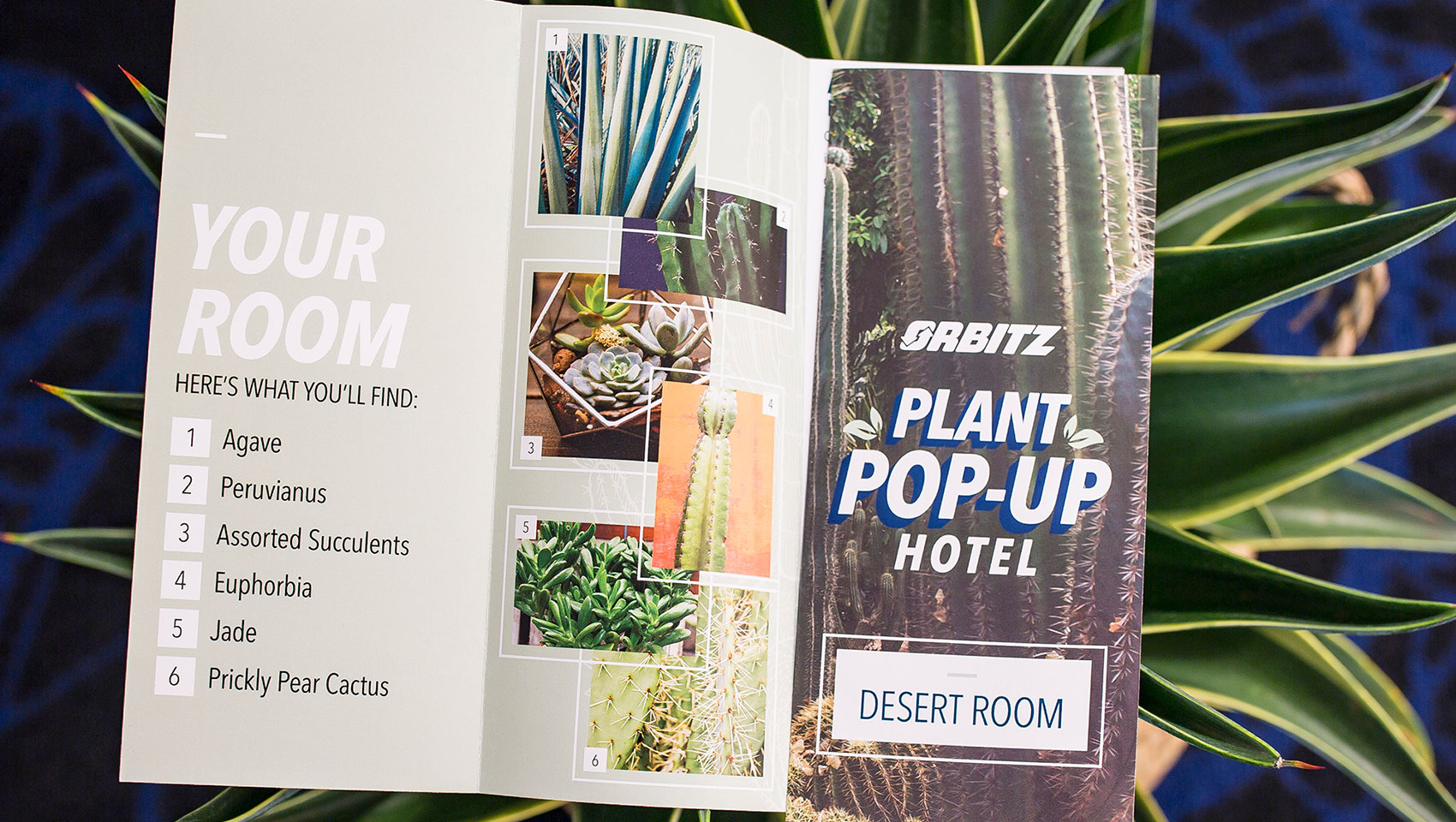brochure describing plant varieties in room