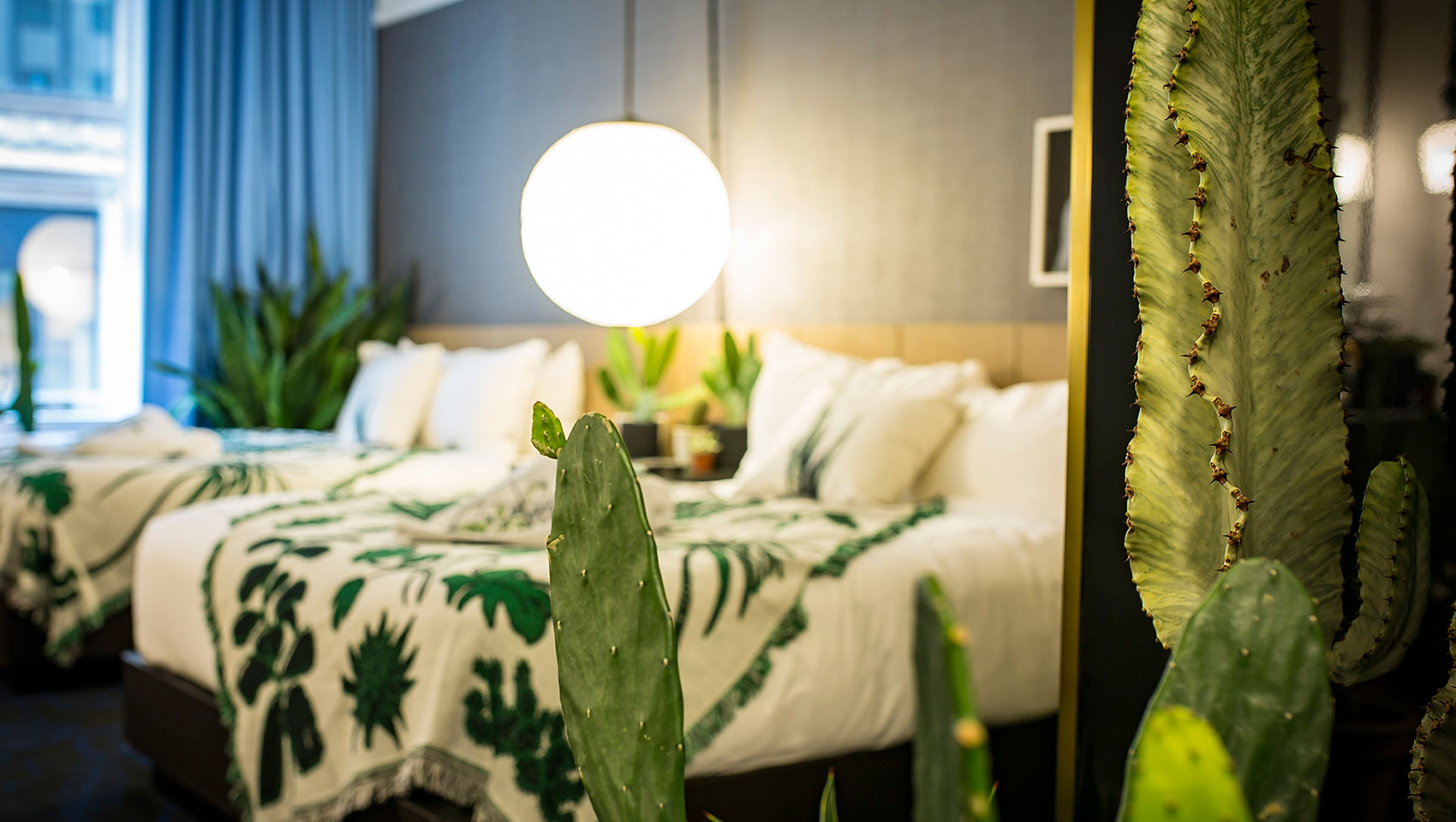 Gray Hotel guest room with cactus in foreground