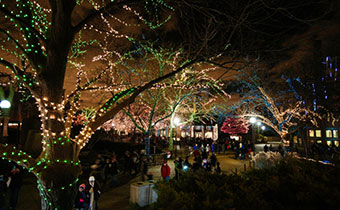 ZooLights at Lincoln Park Zoo