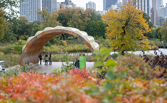 fall in chicago