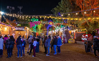 chicago pumpkin patch