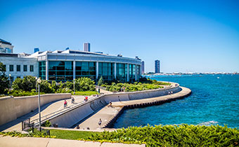 Shedd Aquarium