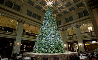 Christmas Tree in Macy's Walnut Room